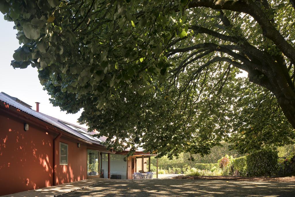 Quinta Da Tilia Boutique Retreat Guest House Капелас Екстериор снимка